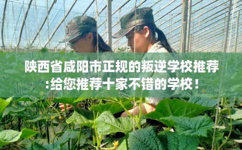 陕西省咸阳市正规的叛逆学校推荐:给您推荐十家不错的学校！