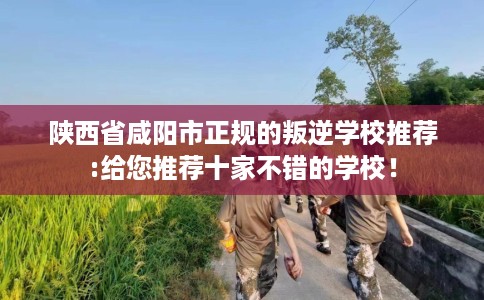 陕西省咸阳市正规的叛逆学校推荐:给您推荐十家不错的学校！