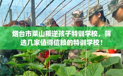 烟台市莱山叛逆孩子特训学校，筛选几家值得信赖的特训学校！