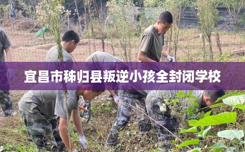 宜昌市秭归县叛逆小孩全封闭学校 宜昌市秭归县叛逆小孩全封闭学校