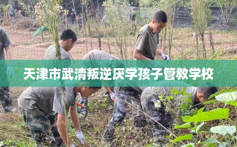 天津市武清叛逆厌学孩子管教学校 天津市武清叛逆厌学孩子管教学校