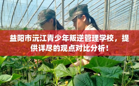 益阳市沅江青少年叛逆管理学校，提供详尽的观点对比分析！