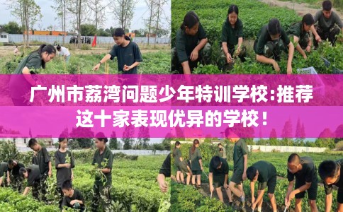 广州市荔湾问题少年特训学校:推荐这十家表现优异的学校! 广州市荔湾问题少年特训学校:推荐这十家表现优异的学校!