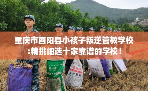 重庆市酉阳县小孩子叛逆管教学校:精挑细选十家靠谱的学校! 重庆市酉阳县小孩子叛逆管教学校:精挑细选十家靠谱的学校!