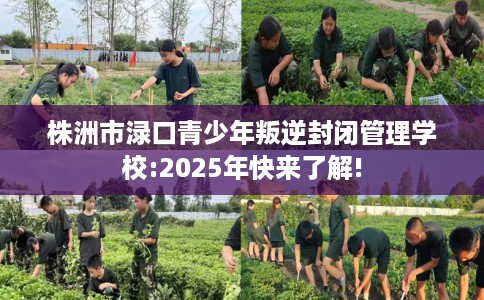株洲市渌口青少年叛逆封闭管理学校:2025年快来了解!