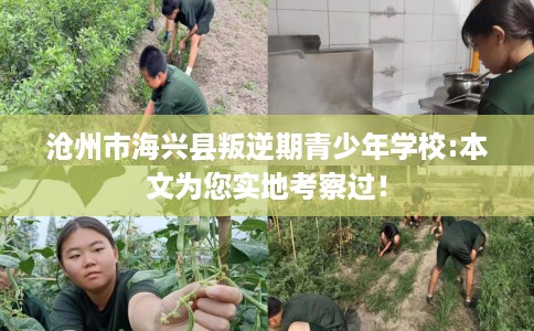 沧州市海兴县叛逆期青少年学校:本文为您实地考察过! 沧州市海兴县叛逆期青少年学校:本文为您实地考察过!
