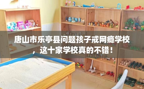 唐山市乐亭县问题孩子戒网瘾学校，这十家学校真的不错！
