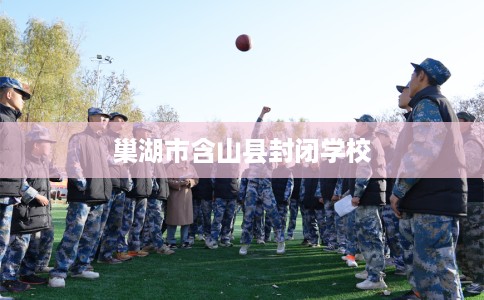 巢湖市含山县封闭学校 巢湖市含山县封闭学校