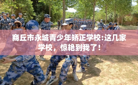 商丘市永城青少年矫正学校:这几家学校，惊艳到我了！