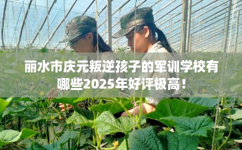 丽水市庆元叛逆孩子的军训学校有哪些2025年好评极高! 丽水市庆元叛逆孩子的军训学校有哪些2025年好评极高!