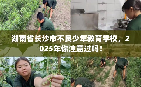 湖南省长沙市不良少年教育学校,2025年你注意过吗! 湖南省长沙市不良少年教育学校,2025年你注意过吗!