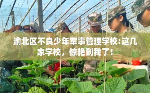 渝北区不良少年军事管理学校:这几家学校，惊艳到我了！