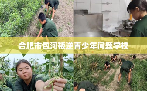 合肥市包河叛逆青少年问题学校