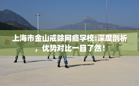 上海市金山戒除网瘾学校:深度剖析,优势对比一目了然! 上海市金山戒除网瘾学校:深度剖析,优势对比一目了然!