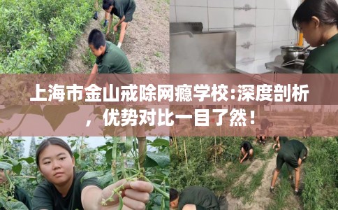 上海市金山戒除网瘾学校:深度剖析，优势对比一目了然！