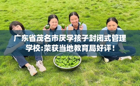 广东省茂名市厌学孩子封闭式管理学校:荣获当地教育局好评！