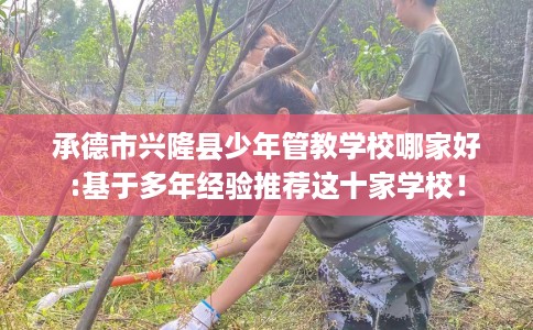 承德市兴隆县少年管教学校哪家好:基于多年经验推荐这十家学校！