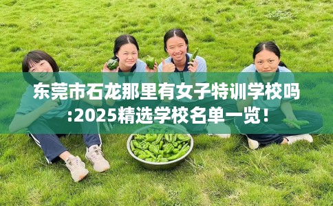 东莞市石龙那里有女子特训学校吗:2025精选学校名单一览！