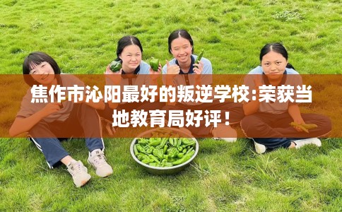 焦作市沁阳最好的叛逆学校:荣获当地教育局好评！
