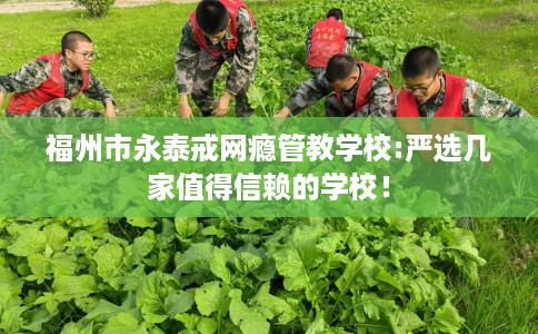 福州市永泰戒网瘾管教学校:严选几家值得信赖的学校! 福州市永泰戒网瘾管教学校:严选几家值得信赖的学校!