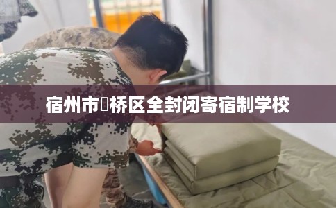宿州市埇桥区全封闭寄宿制学校