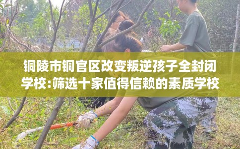 铜陵市铜官区改变叛逆孩子全封闭学校:筛选十家值得信赖的素质学校！