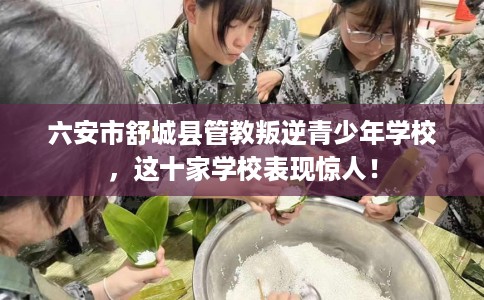 六安市舒城县管教叛逆青少年学校,这十家学校表现惊人! 六安市舒城县管教叛逆青少年学校,这十家学校表现惊人!