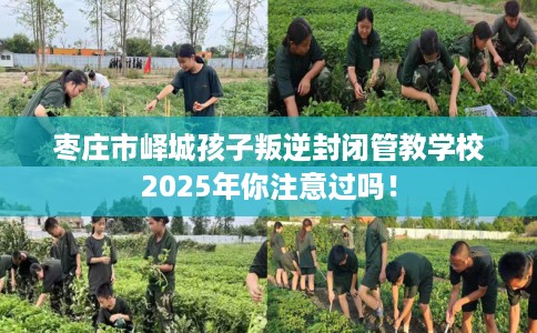 枣庄市峄城孩子叛逆封闭管教学校2025年你注意过吗！