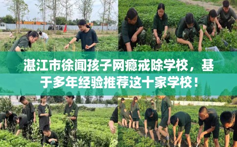 湛江市徐闻孩子网瘾戒除学校，基于多年经验推荐这十家学校！