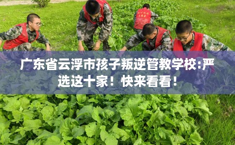 广东省云浮市孩子叛逆管教学校:严选这十家！快来看看！