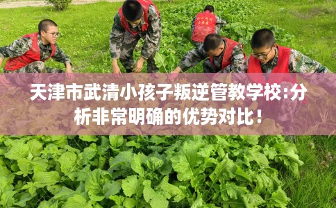 天津市武清小孩子叛逆管教学校:分析非常明确的优势对比！
