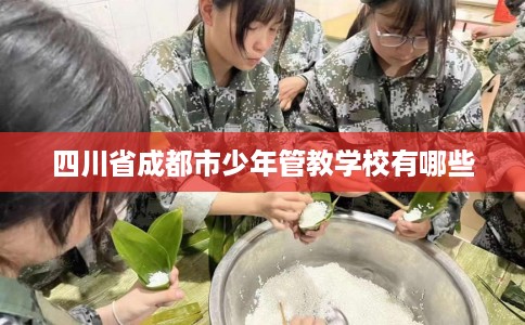 四川省成都市少年管教学校有哪些
