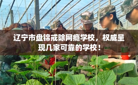 辽宁市盘锦戒除网瘾学校，权威呈现几家可靠的学校！