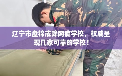 辽宁市盘锦戒除网瘾学校，权威呈现几家可靠的学校！