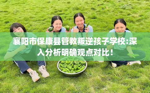襄阳市保康县管教叛逆孩子学校:深入分析明确观点对比! 襄阳市保康县管教叛逆孩子学校:深入分析明确观点对比!