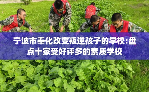 宁波市奉化改变叛逆孩子的学校:盘点十家受好评多的素质学校 宁波市奉化改变叛逆孩子的学校:盘点十家受好评多的素质学校