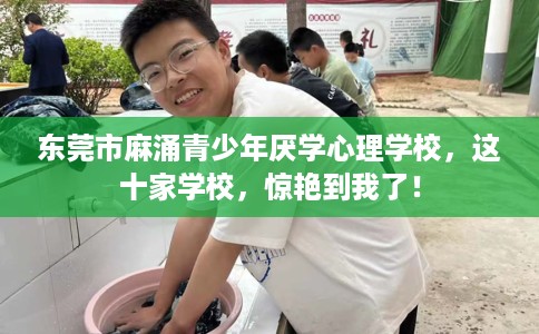 东莞市麻涌青少年厌学心理学校，这十家学校，惊艳到我了！