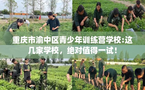 重庆市渝中区青少年训练营学校:这几家学校，绝对值得一试！