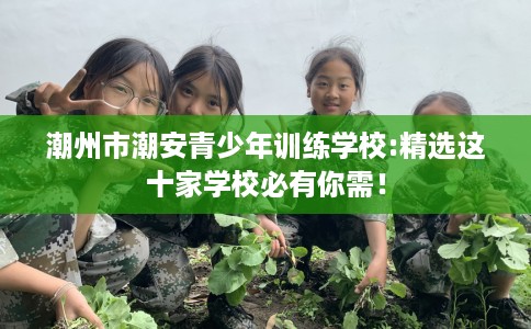 潮州市潮安青少年训练学校:精选这十家学校必有你需！