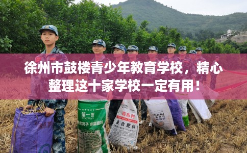 徐州市鼓楼青少年教育学校，精心整理这十家学校一定有用！