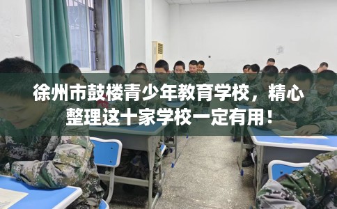 徐州市鼓楼青少年教育学校，精心整理这十家学校一定有用！