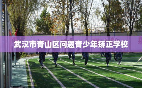 武汉市青山区问题青少年矫正学校 武汉市青山区问题青少年矫正学校