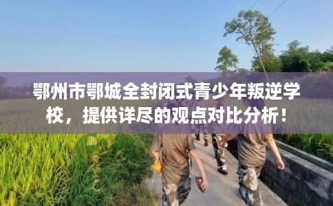 鄂州市鄂城全封闭式青少年叛逆学校，提供详尽的观点对比分析！