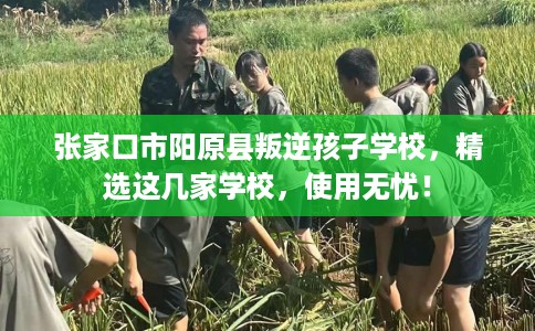 张家口市阳原县叛逆孩子学校，精选这几家学校，使用无忧！