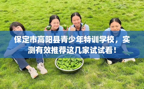 保定市高阳县青少年特训学校，实测有效推荐这几家试试看！