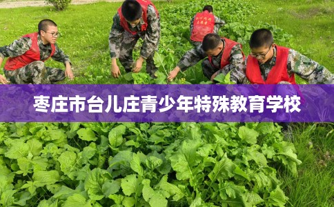 枣庄市台儿庄青少年特殊教育学校