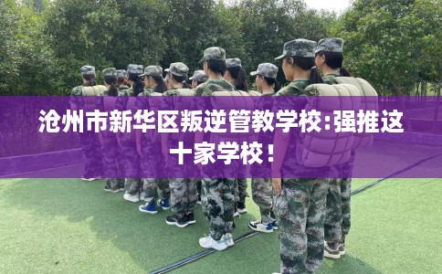 沧州市新华区叛逆管教学校:强推这十家学校！