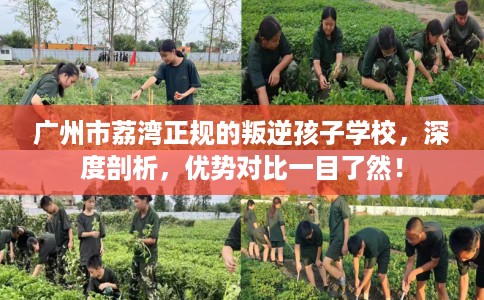广州市荔湾正规的叛逆孩子学校，深度剖析，优势对比一目了然！