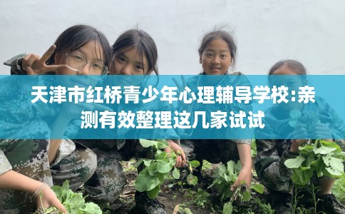 天津市红桥青少年心理辅导学校:亲测有效整理这几家试试 天津市红桥青少年心理辅导学校:亲测有效整理这几家试试