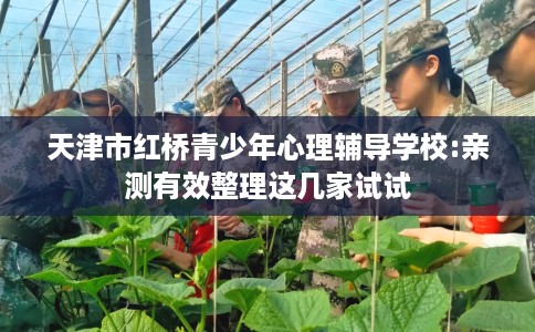 天津市红桥青少年心理辅导学校:亲测有效整理这几家试试 天津市红桥青少年心理辅导学校:亲测有效整理这几家试试
